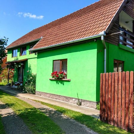 Csergő Ildikó vendégház Hotel Lăzarea Exterior foto