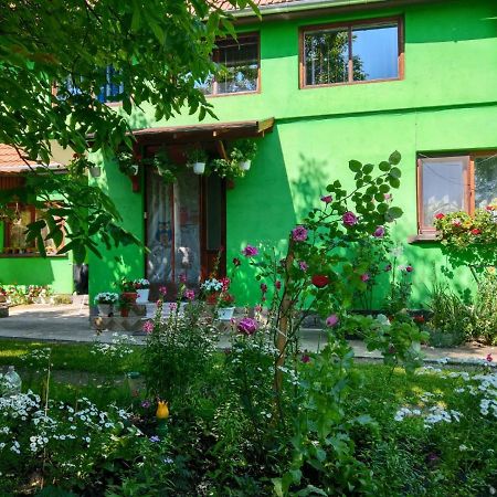 Csergő Ildikó vendégház Hotel Lăzarea Exterior foto