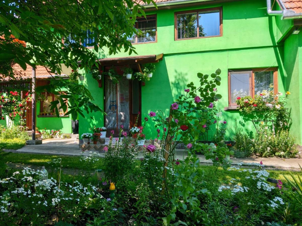 Csergő Ildikó vendégház Hotel Lăzarea Exterior foto