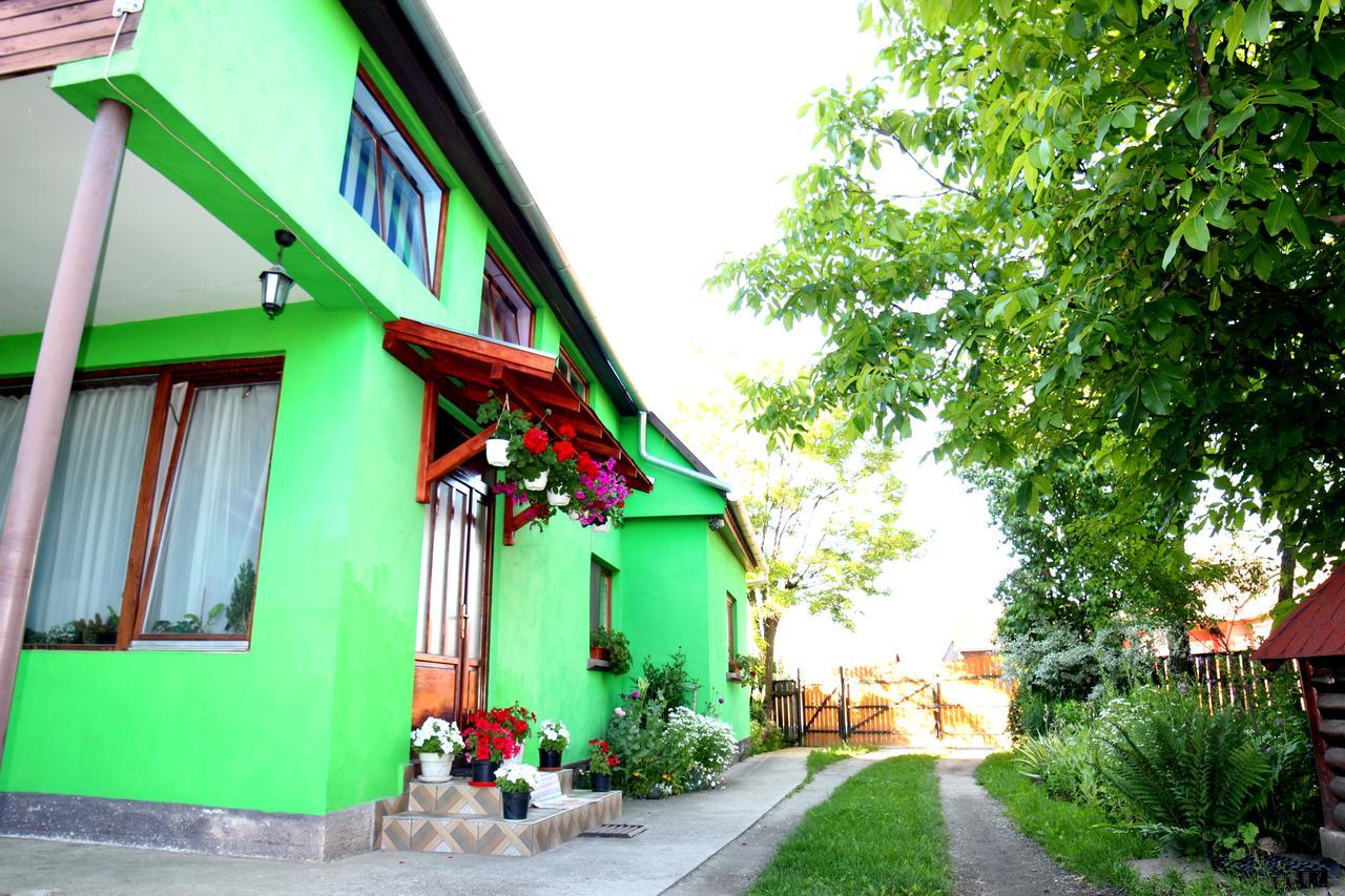 Csergő Ildikó vendégház Hotel Lăzarea Exterior foto
