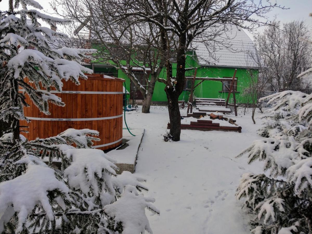 Csergő Ildikó vendégház Hotel Lăzarea Exterior foto