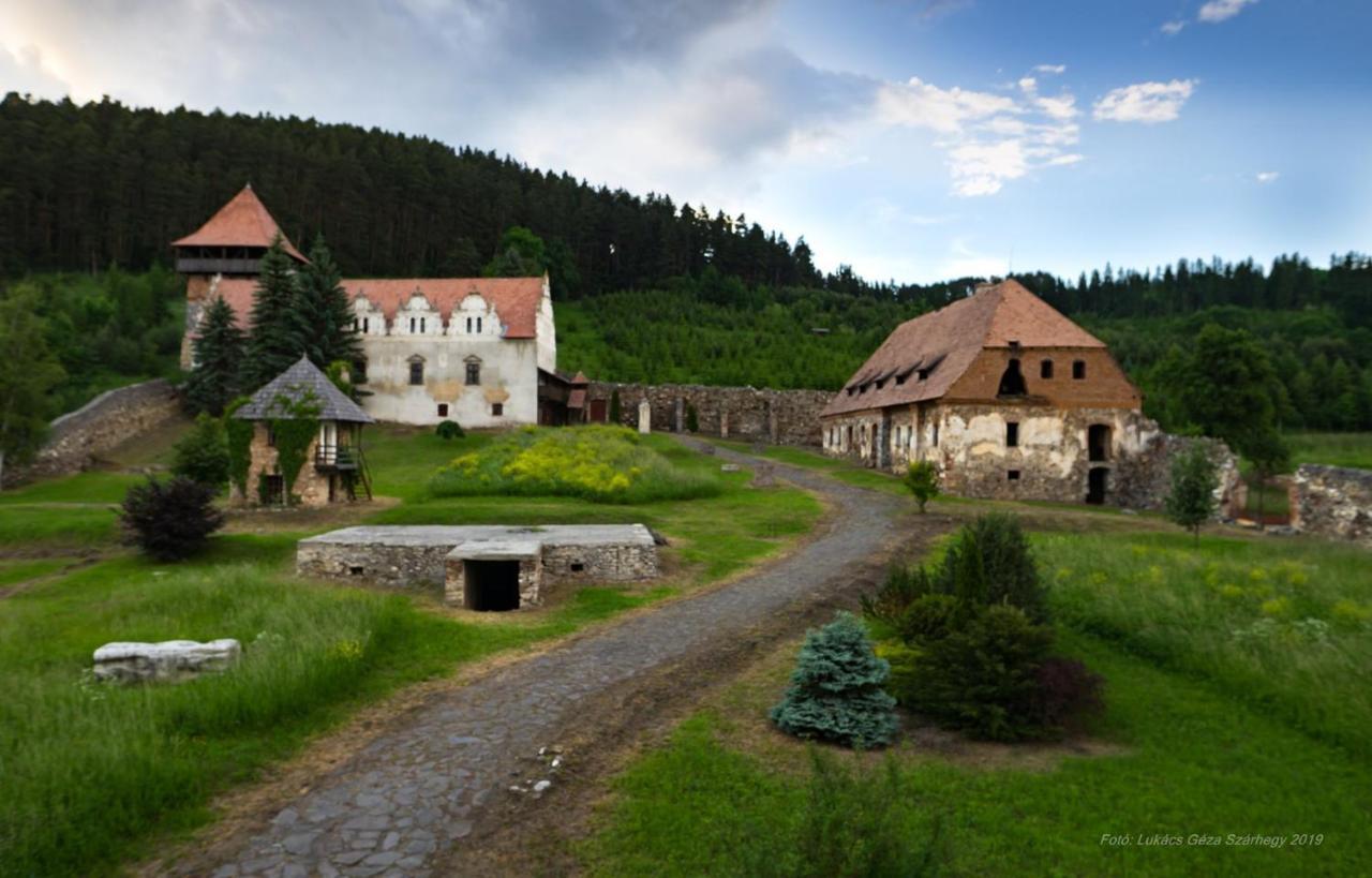 Csergő Ildikó vendégház Hotel Lăzarea Exterior foto