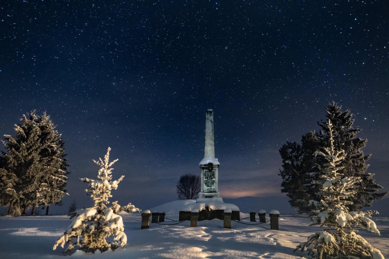 Csergő Ildikó vendégház Hotel Lăzarea Exterior foto