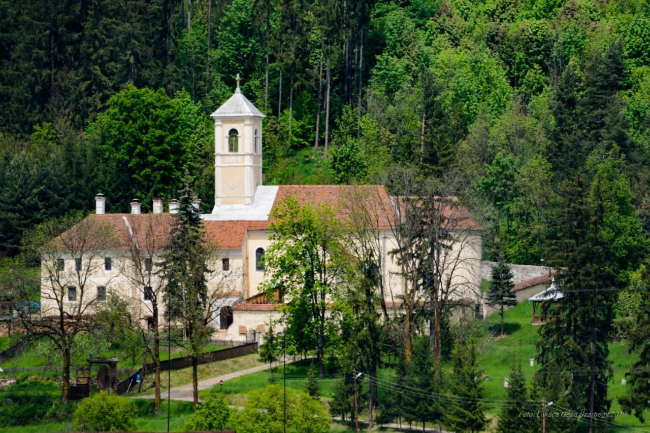 Csergő Ildikó vendégház Hotel Lăzarea Exterior foto
